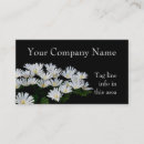 Search for daisies business cards White