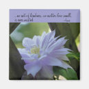 Search for clematis magnets Flower