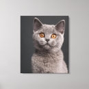Search for british shorthair cat art Feline