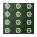 Search for echinacea tiles Botanical