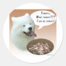 Search for samoyed stuff stickers Sammy