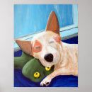 Search for queensland heeler posters Australian