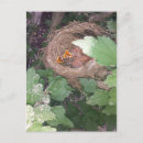 Search for baby birds postcards Nature