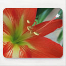 Search for macro standard mouse mats White
