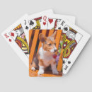 Search for danita delimont playing cards Curiosity