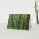 Search for reserve cards Danita delimont