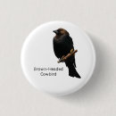 Search for pests badges Bird