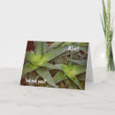 Search for aloe cards Thinking of you