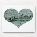 Search for dolphin picture electronics Photography