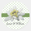 Search for edelweiss flower stickers Floral