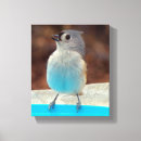 Search for b day canvas prints Photography