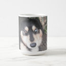 Search for one eye mugs Pets