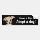 Search for save bumper stickers Puppy