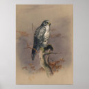 Search for vintage iceland posters Nature