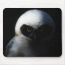 Search for chicks electronics Wildlife
