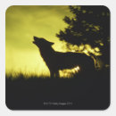 Search for wolf silhouette stickers Animal