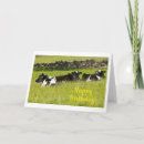 Search for dairy cow birthday cards Cows