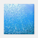 Search for underwater magnets Wildlife