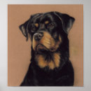 Search for rottweiler art Canine