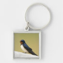 Search for multi coloured key rings Wildlife