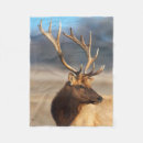 Search for danita delimont blankets Elk