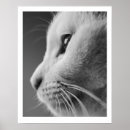 Search for cat profile art White
