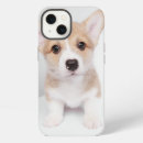Search for pembroke welsh corgi iphone cases Puppy