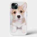 Search for corgi iphone cases Pembroke welsh corgi