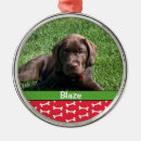Search for new puppy christmas tree decorations Pets