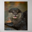 Search for clawed posters Otter