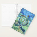 Search for turtle planners Blue