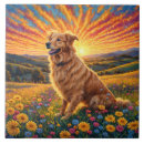 Search for golden retriever dog tiles Dogs