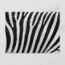 Search for zebra postcards Black