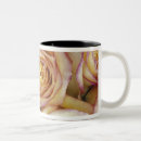 Search for environment mugs Blossom