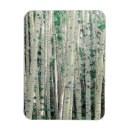 Search for grove magnets Tree