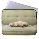 Search for sleeping baby electronics Domestic animals