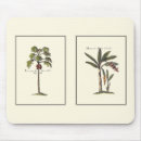 Search for tree mouse mats Palm trees