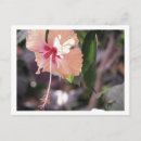 Search for costa photography Tropical