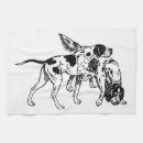 Search for english pointer Breed