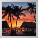 Search for florida keys posters Tropical