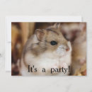 Search for rodent invitations Hamster