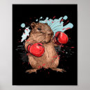 Search for boxing gloves posters Kickboxing