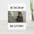 Search for cattitude cards Funny