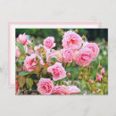 Search for rosa cards Flower