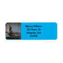 Search for river return address labels Wildlife