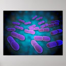 Search for biochemistry posters Microbe