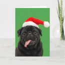Search for pugs cards Black pug