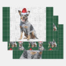 Search for blue and green christmas wrapping paper Plaid