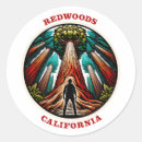 Search for redwood trees stickers Hiking