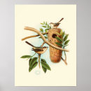 Search for birds nesting posters Tree